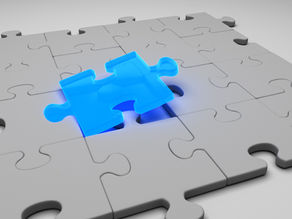 The Missing Pieces of Wellness