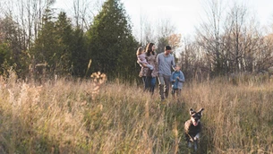 30+ FREE Family Fun Activities for the Summer